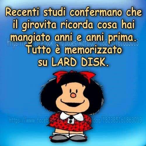 4b505ccbe988f4fe0a4fd664e20a679e