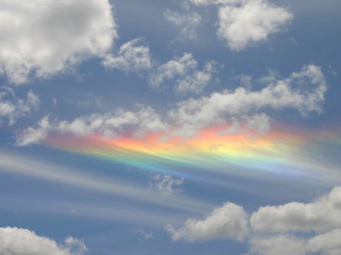 a_florida_sundog_by_nwo