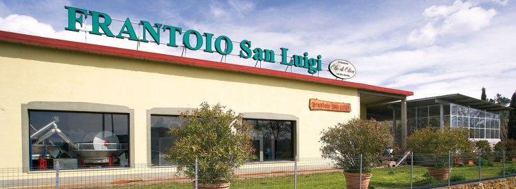 frantoio_caldana1