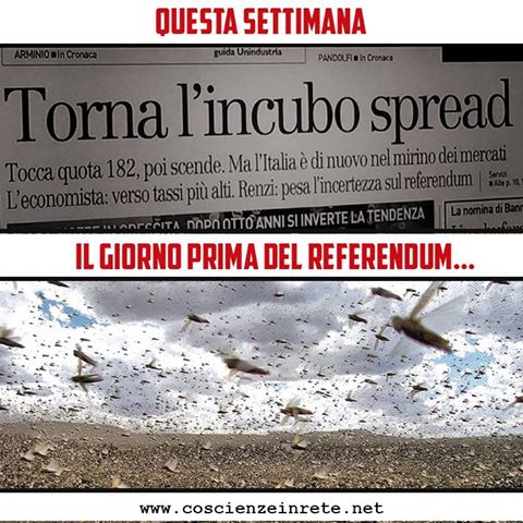 il-giorno-prima-del-referendum-cavallette