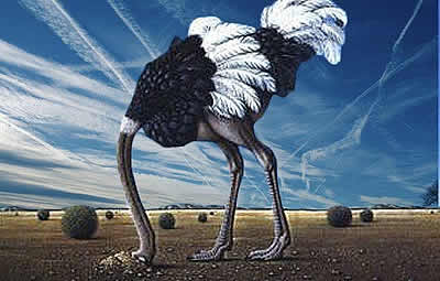 Struzzo testa sotto terra e scie chimiche.jpg