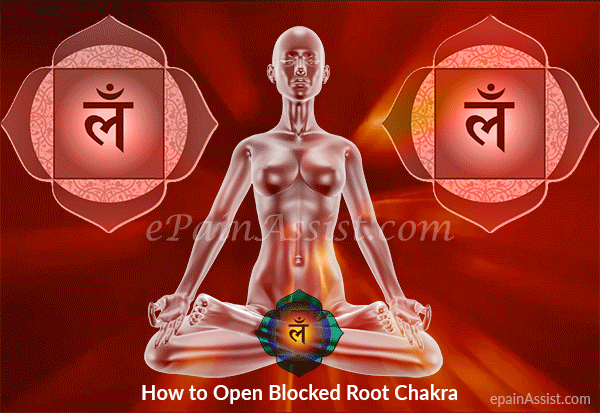 Chakra Muladhara.gif