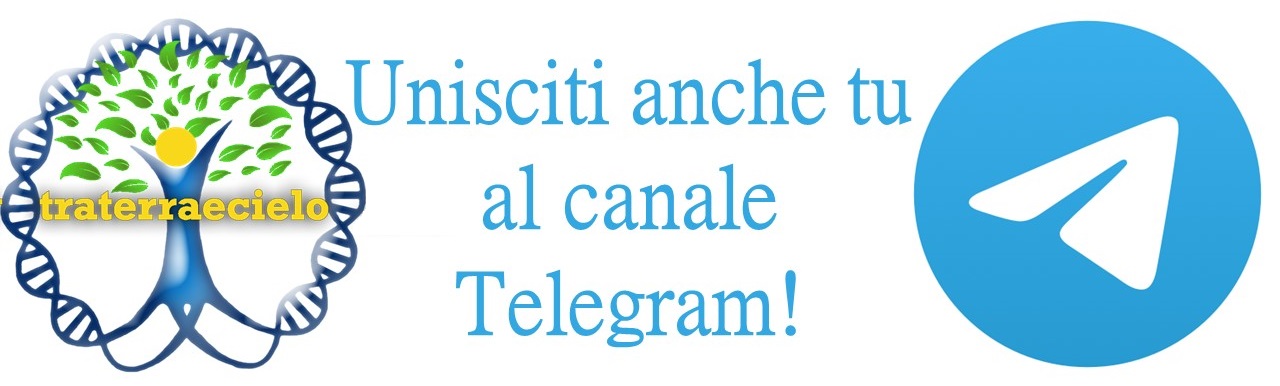 Segui su Telegram